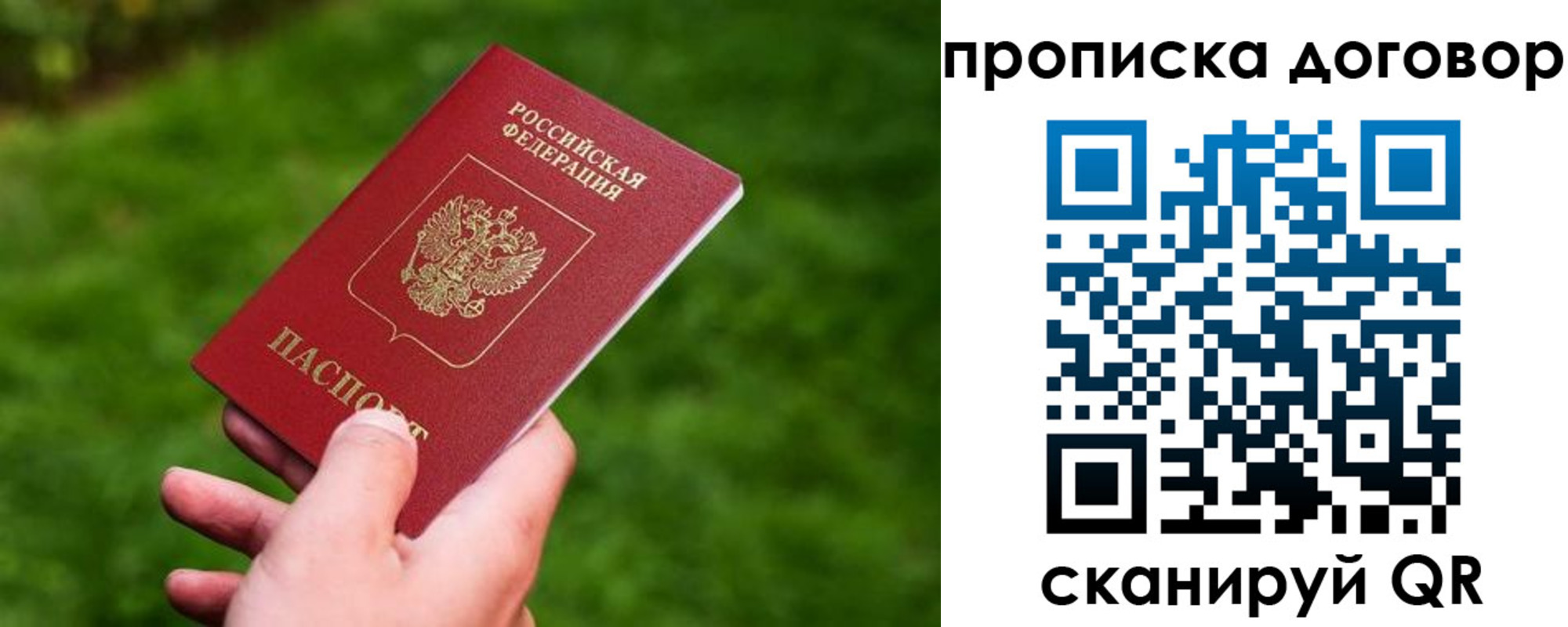 прописка гарантия в Бердске